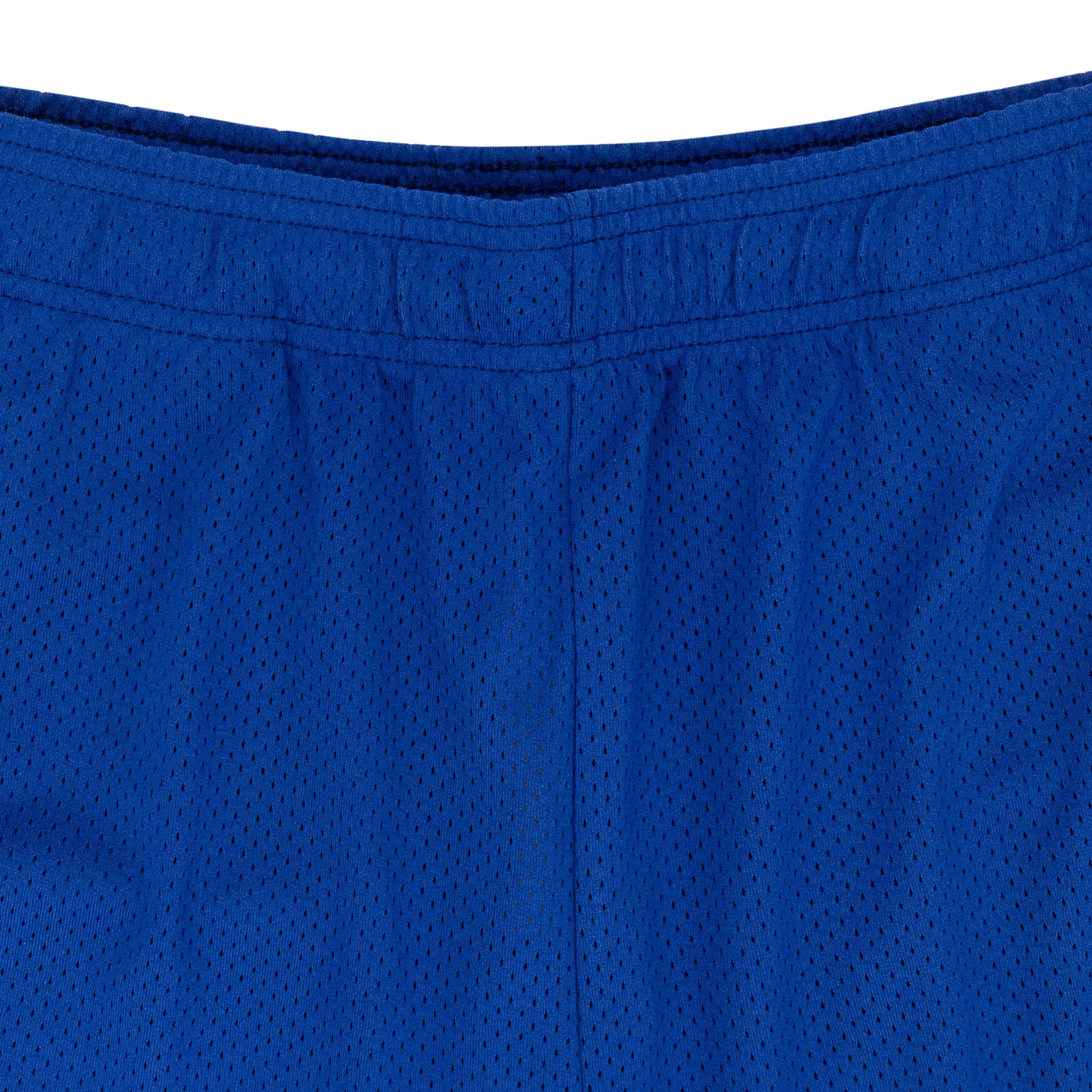 BAT REAPER MESH PURPLE SHORTS