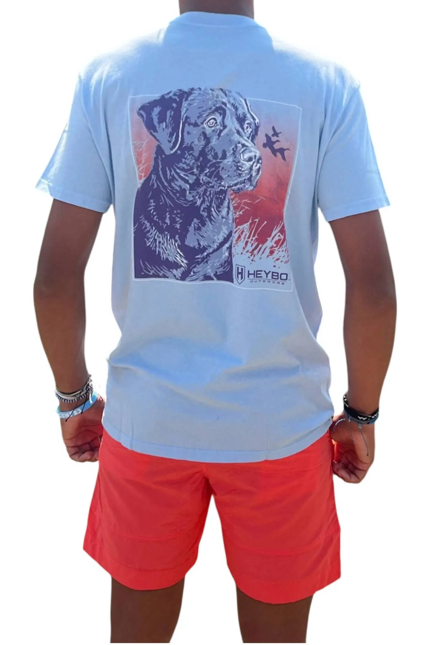 Bay Shorts In Coral