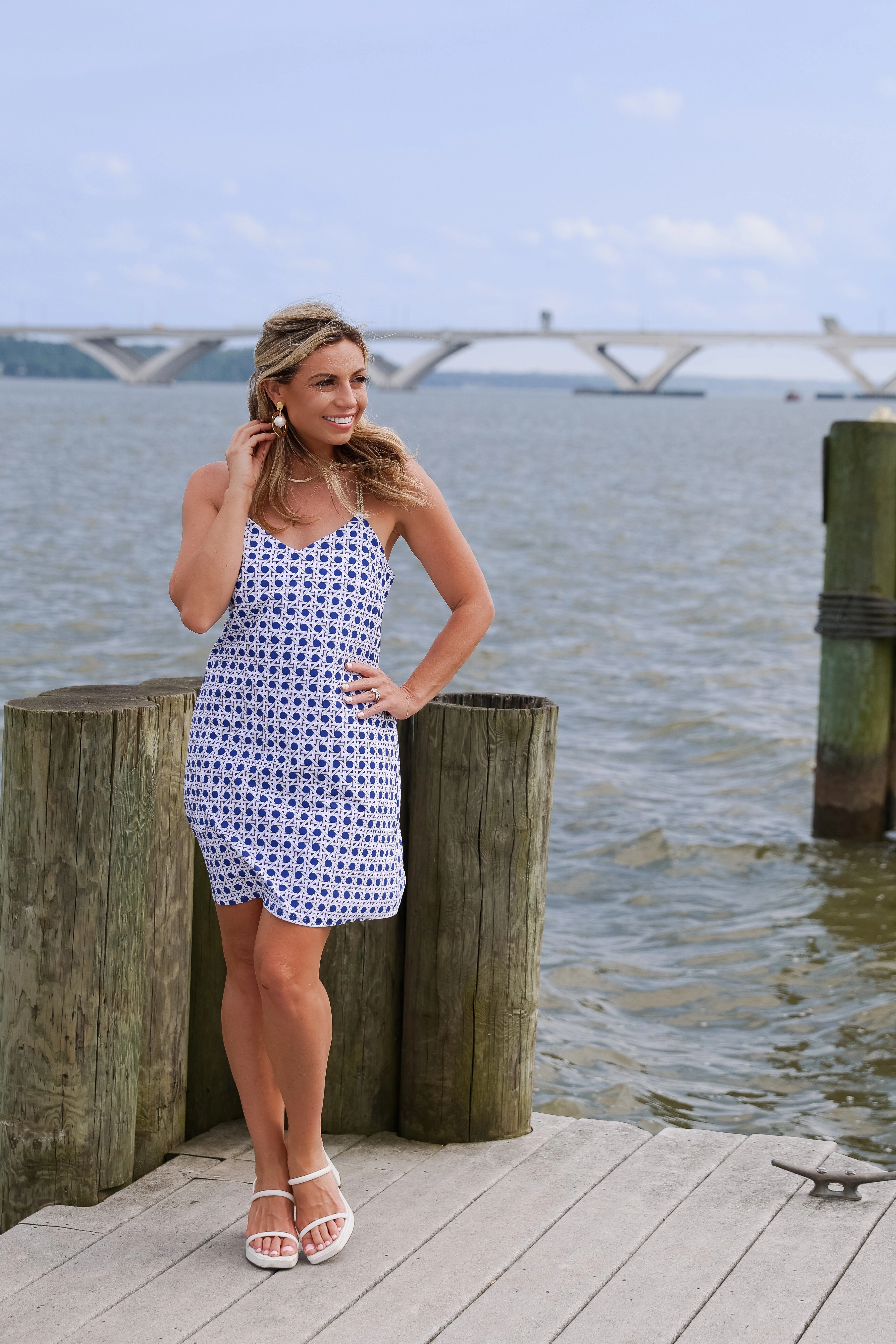 Jude Connally Bailey Dress - Petite Rattan Cobalt