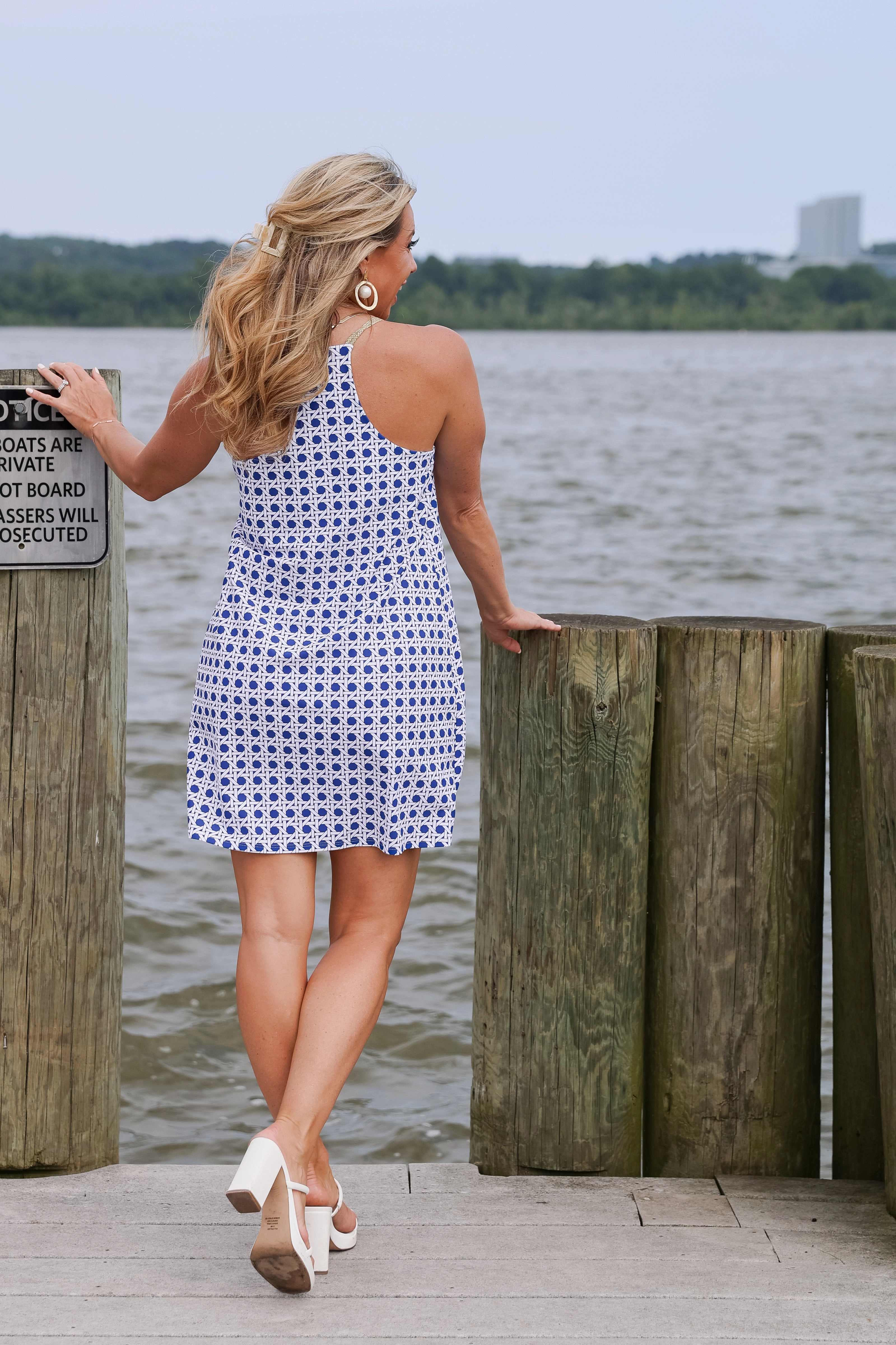 Jude Connally Bailey Dress - Petite Rattan Cobalt