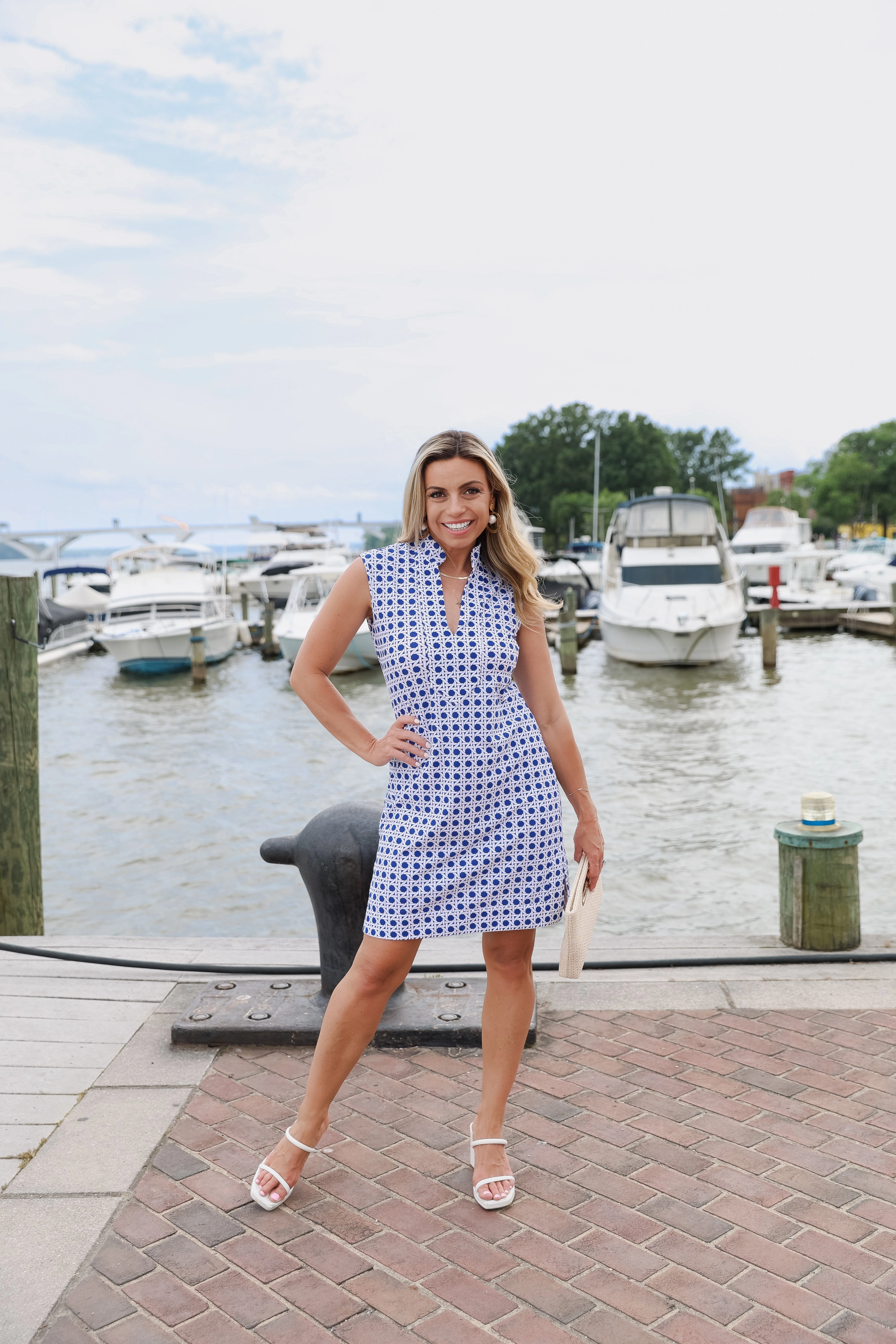 Jude Connally Kristen Dress - Petite Rattan Cobalt