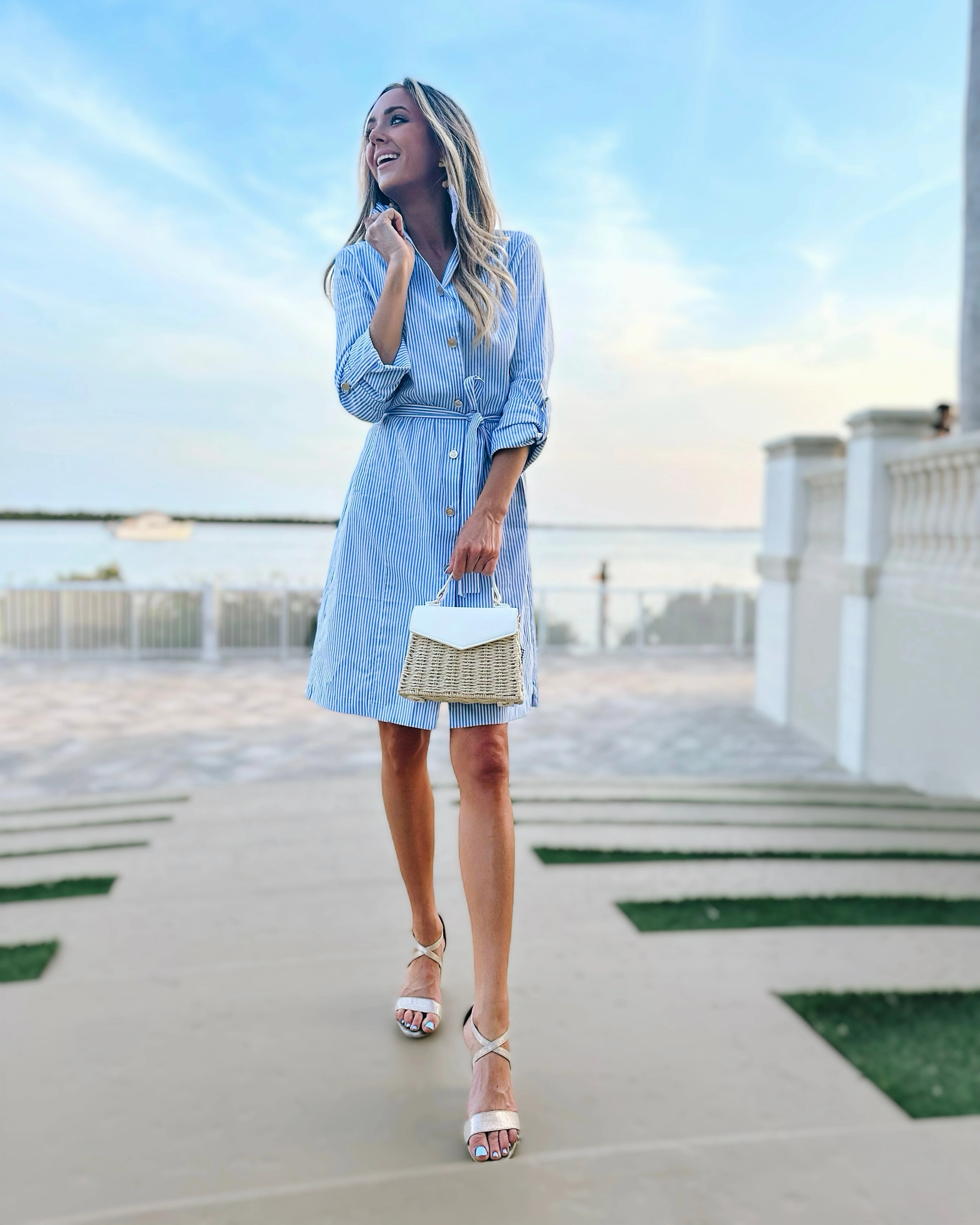 Patty Kim Elizabeth Dress - Blue/White Stripe