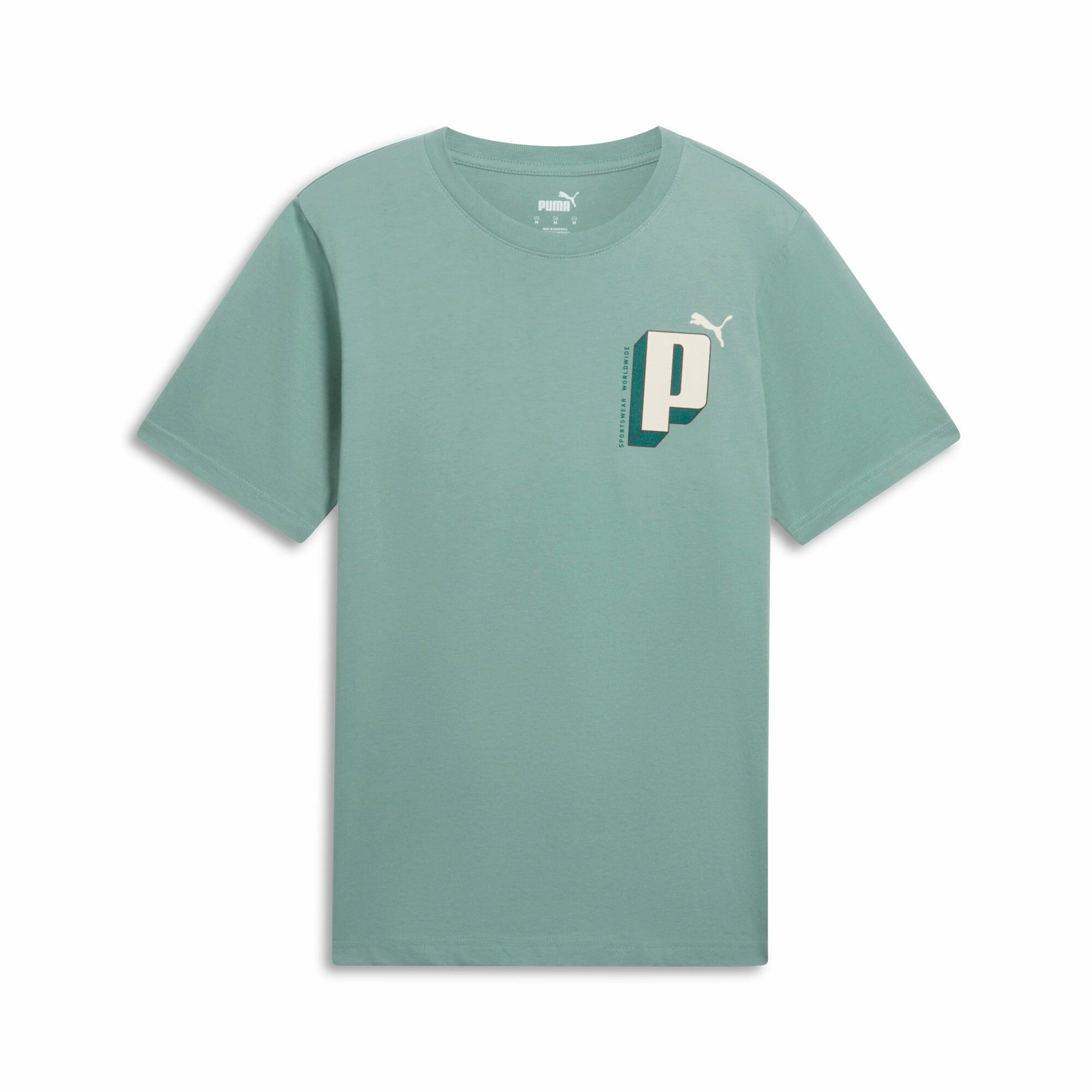 PUMA Men's GRAPHICS Letter Tee