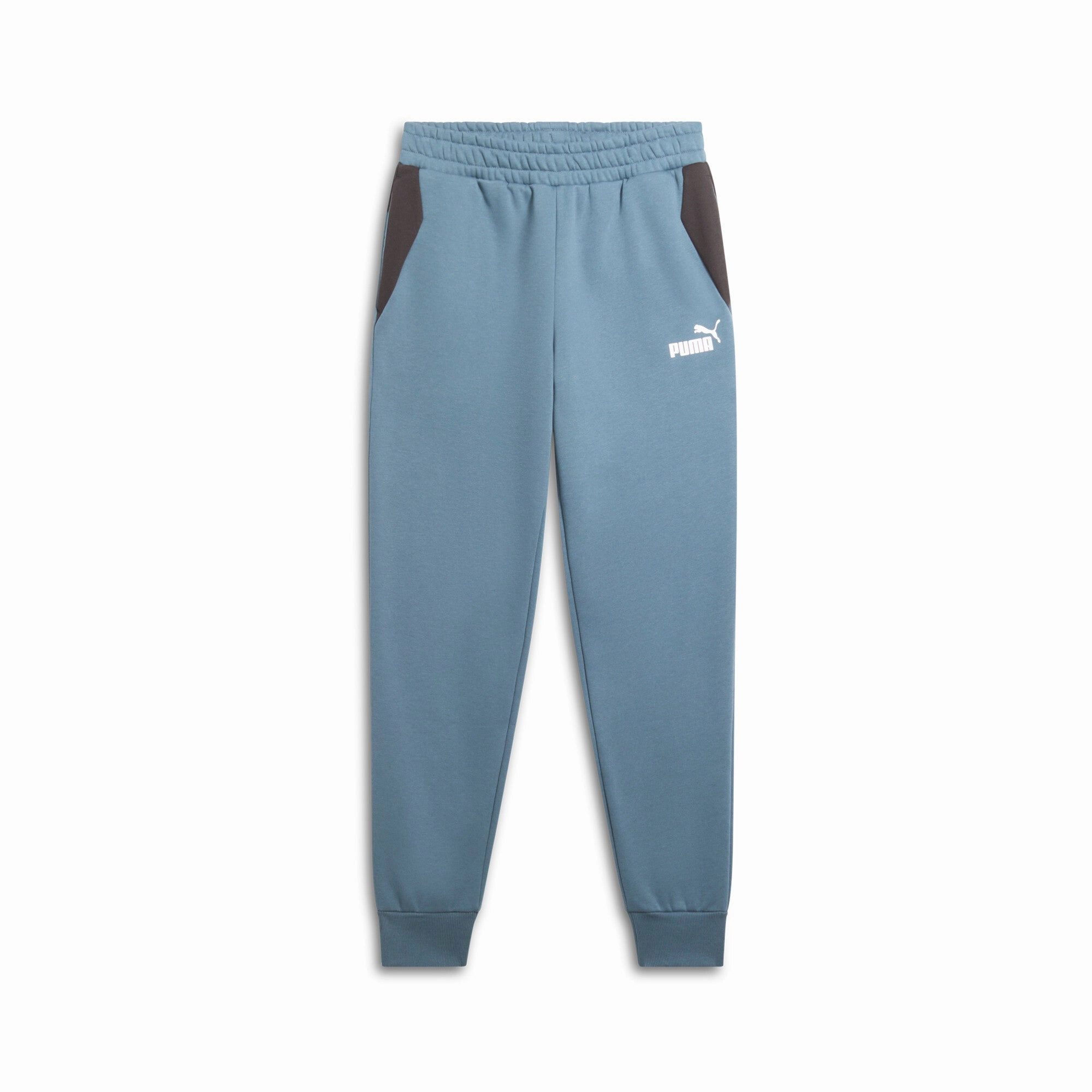 PUMA Men's Power Colorblock Pants